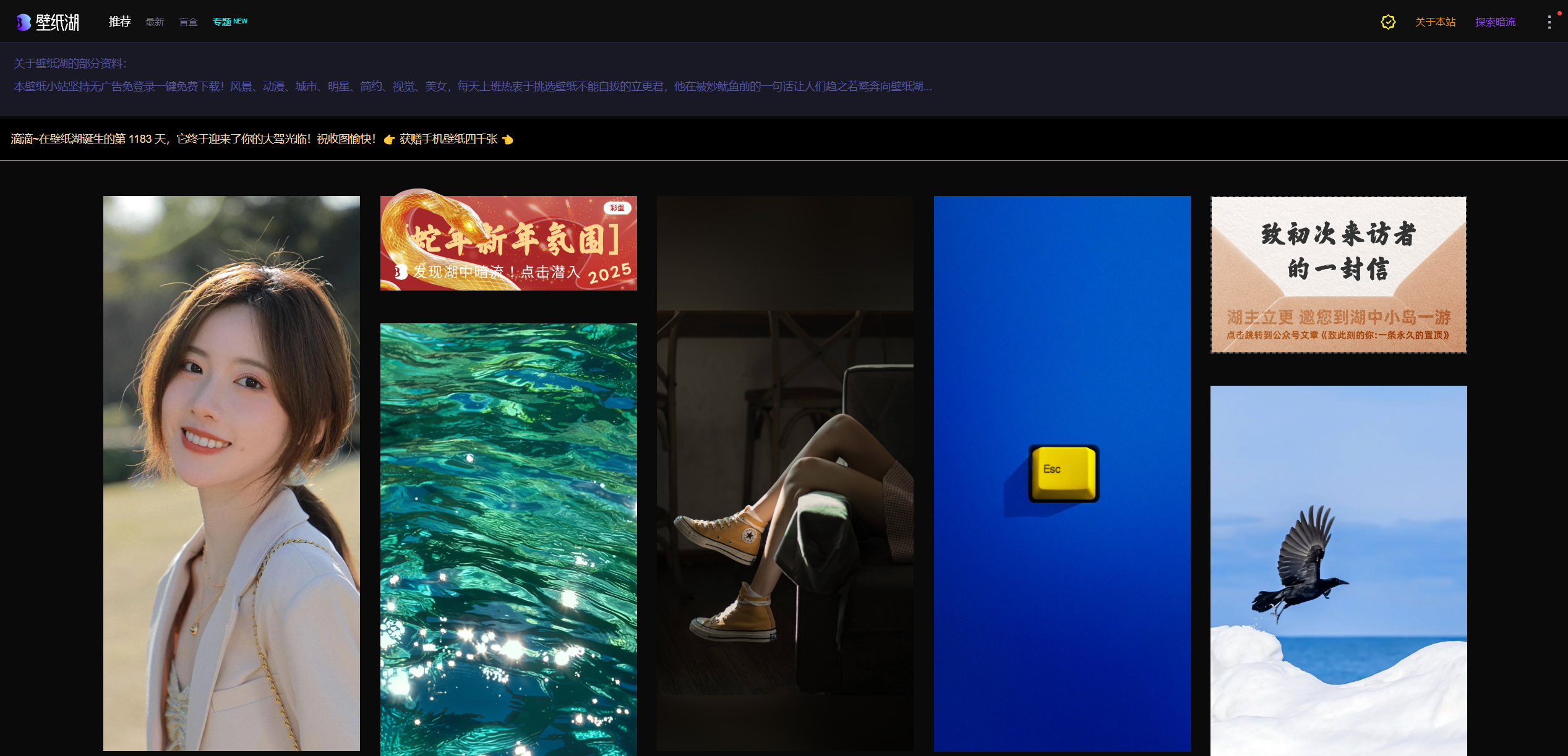 壁纸湖:免费高清壁纸网站,免登录无广告