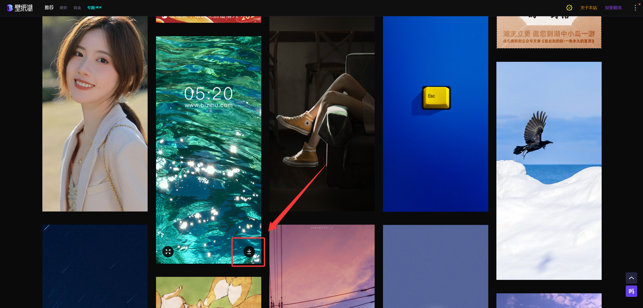 壁纸湖:免费高清壁纸网站,免登录无广告
