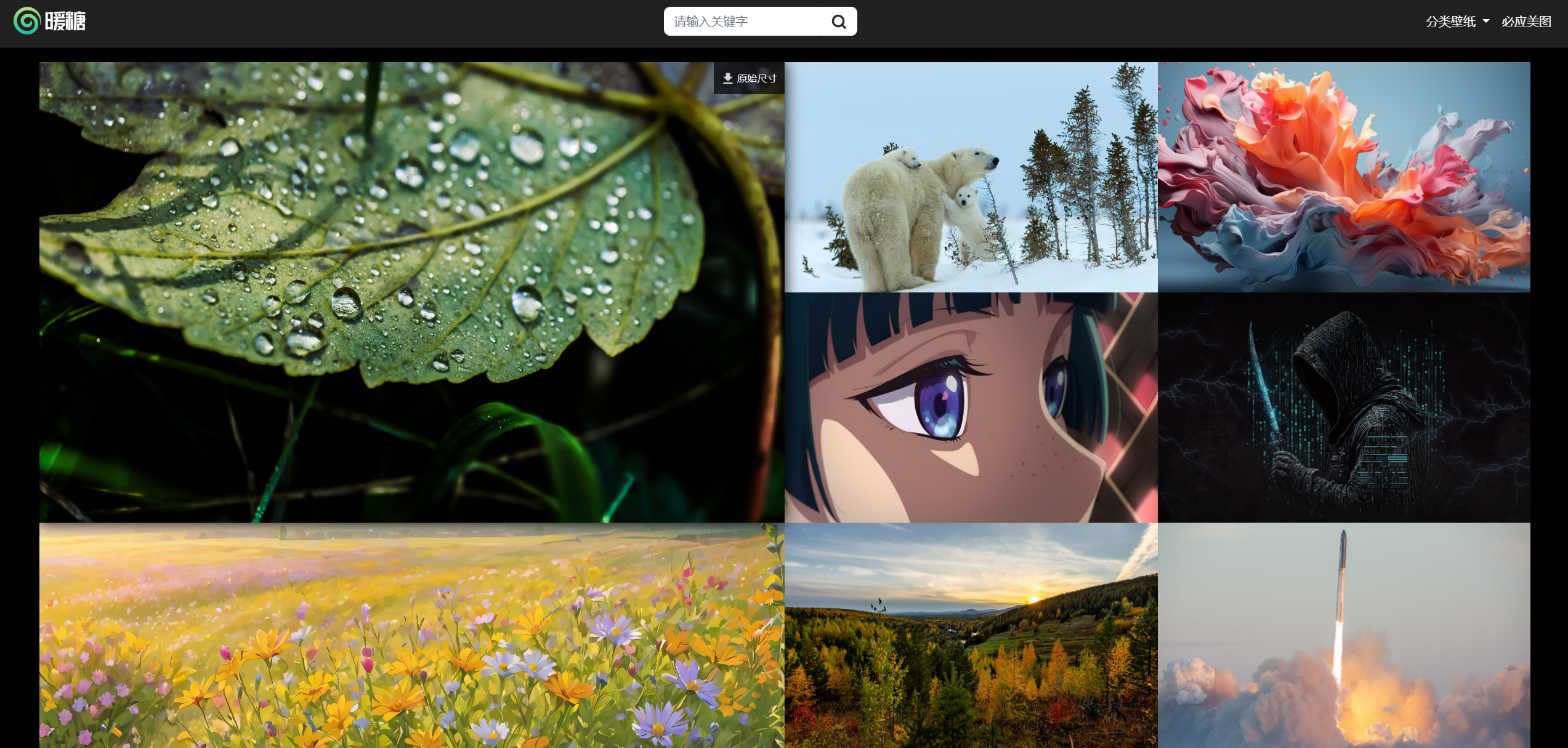 暖糖壁纸：4k 超高清电脑壁纸资源网站，免费下载