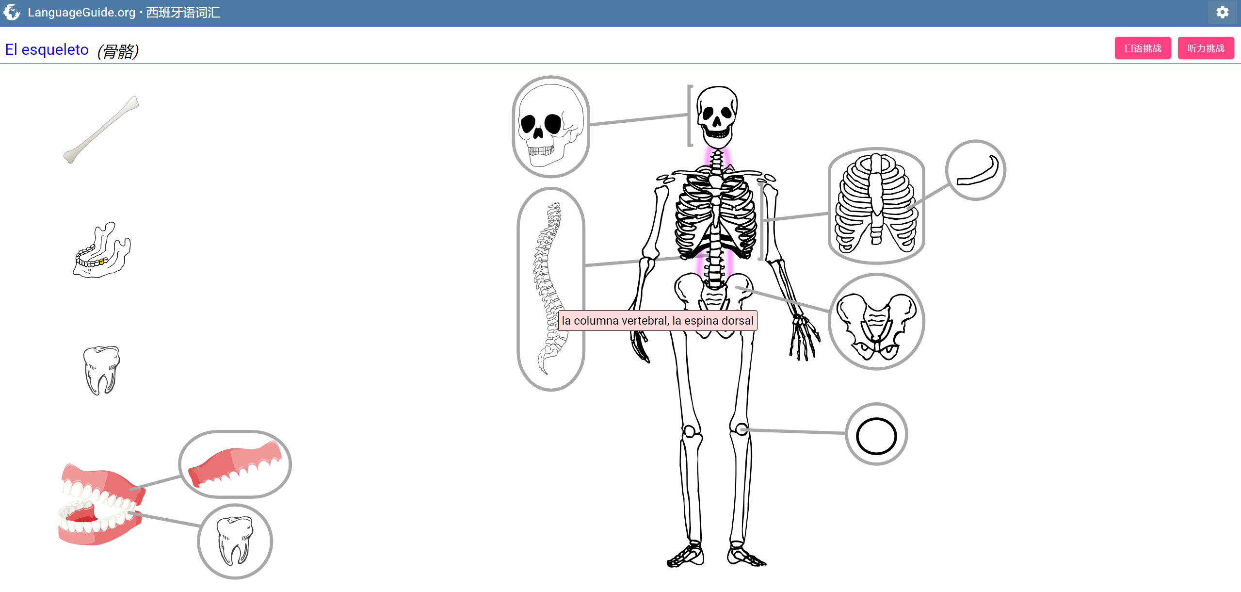 LanguageGuide:免费学习 18 种语言的网站