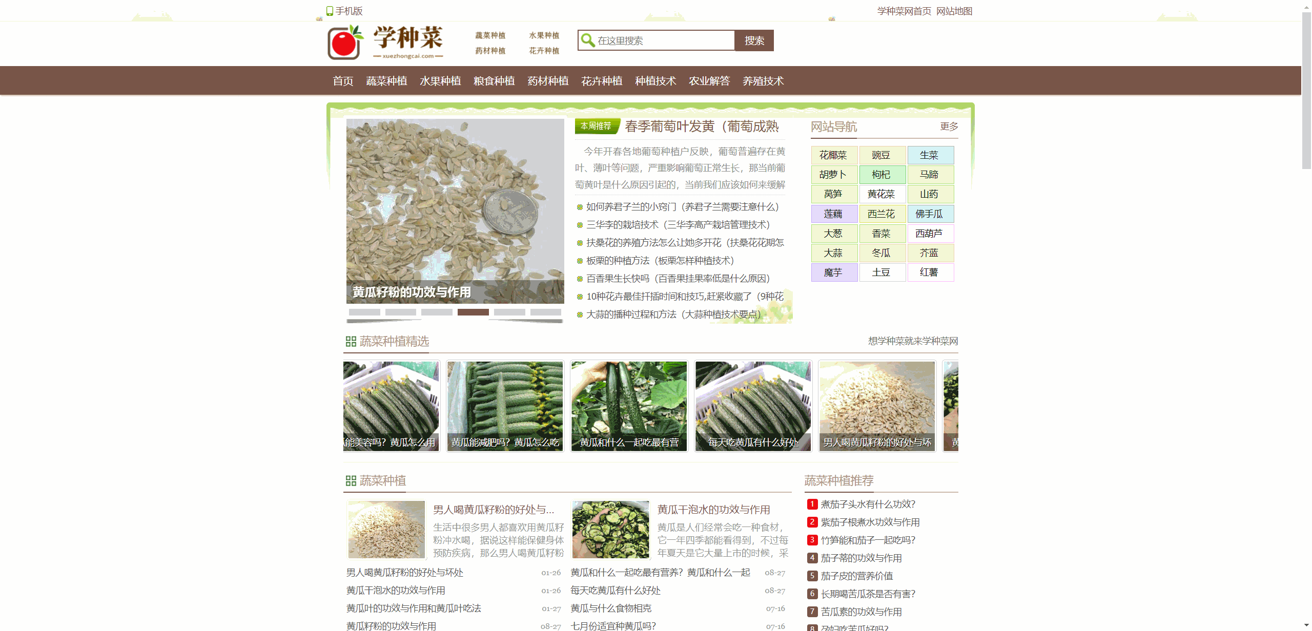 学种菜网：解锁中国人祖传种菜基因